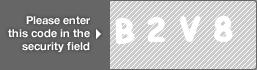 captcha code for visual authentication  letter B number 2 letter V number 8