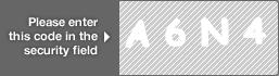 captcha code for visual authentication  letter A number 6 letter N number 4