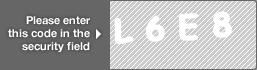 captcha code for visual authentication  letter L number 6 letter E number 8