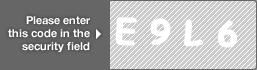captcha code for visual authentication  letter E number 9 letter L number 6