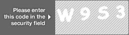 captcha code for visual authentication  letter W number 9 letter S number 3