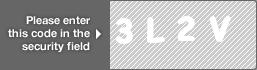captcha code for visual authentication  number 3 letter L number 2 letter V