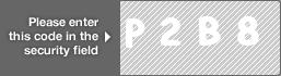 captcha code for visual authentication  letter P number 2 letter B number 8